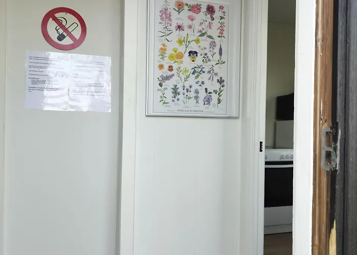 Med Udsigt Til Nor 营地
